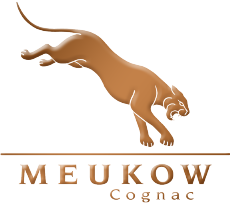 Meukow